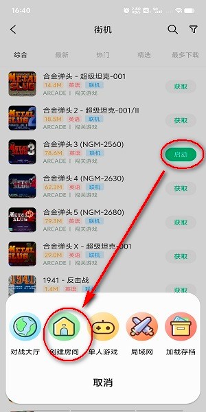 小马模拟器2025图3
