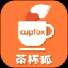 茶杯狐最新版
