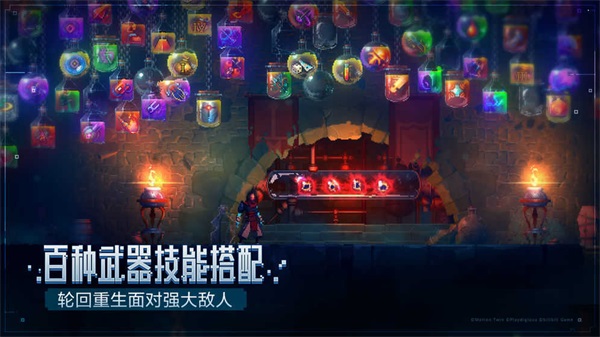 重生细胞2025版