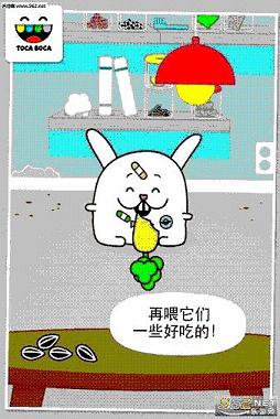 托卡宠物医生