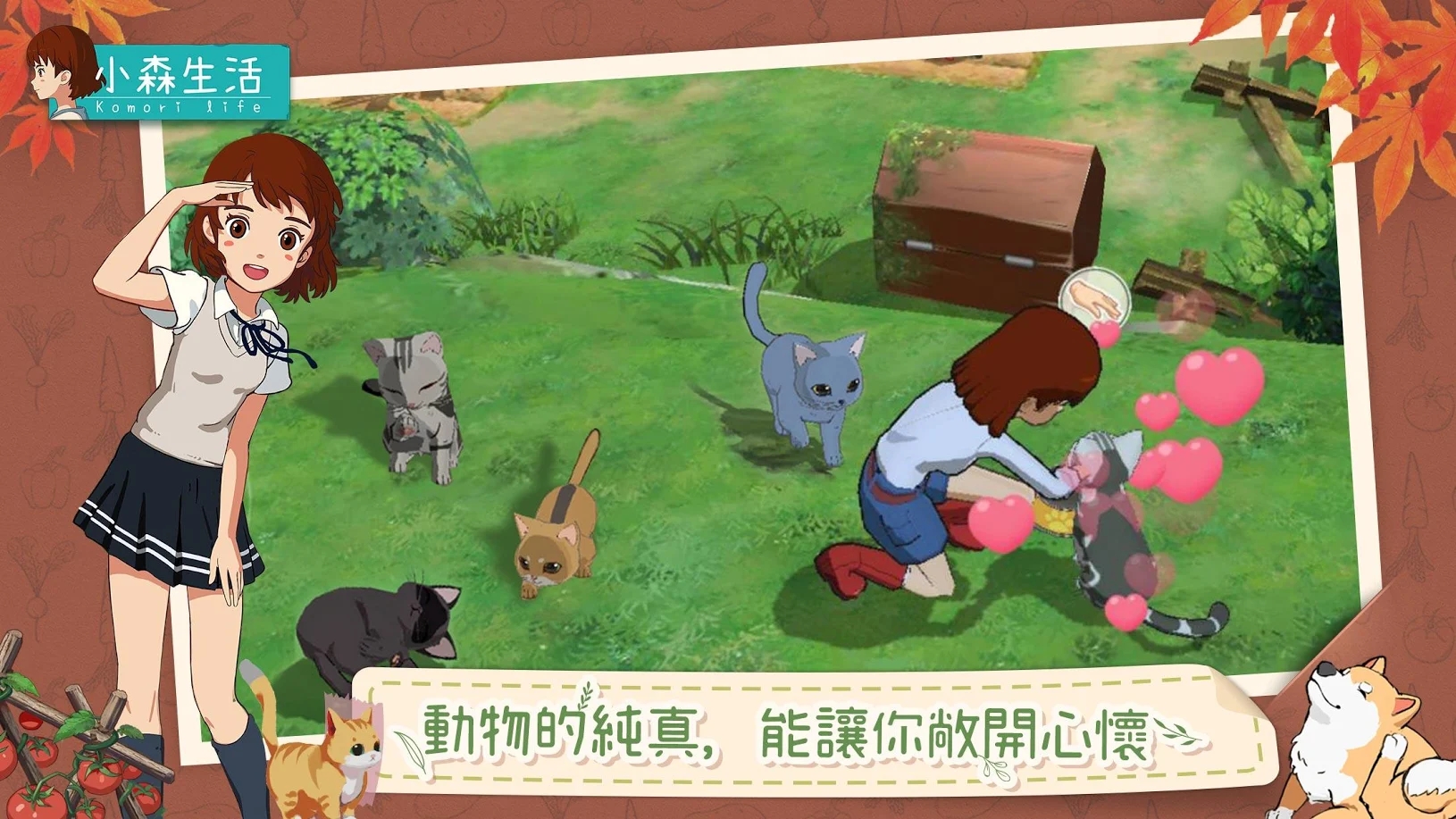 小森生活2025最新版