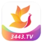 影视工场app官方版 v6.6.8