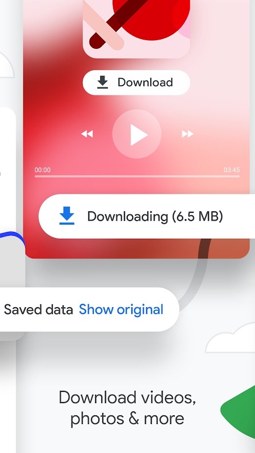 谷歌Chrome浏览器手机版图4