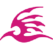 飞极速动漫手机版 v3.3.0