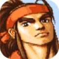 三国战纪风云再起单机版 v3.3.0