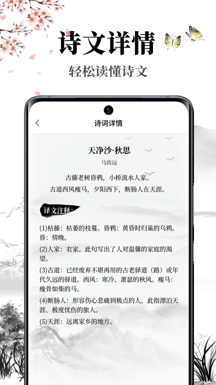 雅歌正版免费图3
