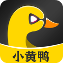 小黄鸭app