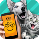 动物翻译器app v1.0.8