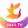 影视工场最新版 v2.9.5