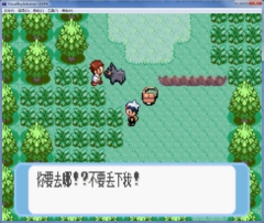口袋妖怪蓝宝石完整版图3