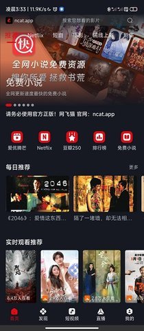 网飞猫图3