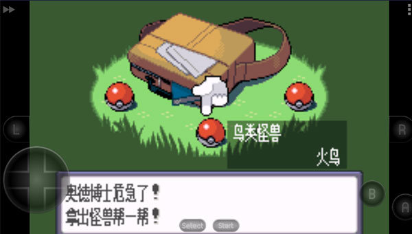 口袋妖怪蓝宝石386图3