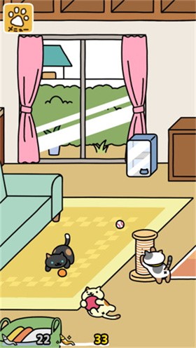猫咪后院最新版图1