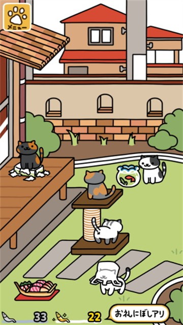 猫咪后院最新版图3