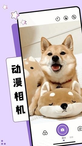 NT动漫官方版正版图1