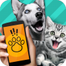 动物翻译器app免费版 v6.6.3