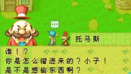 牧场物语矿石镇的伙伴们最新版图1
