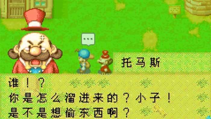 牧场物语矿石镇的伙伴们最新版图3