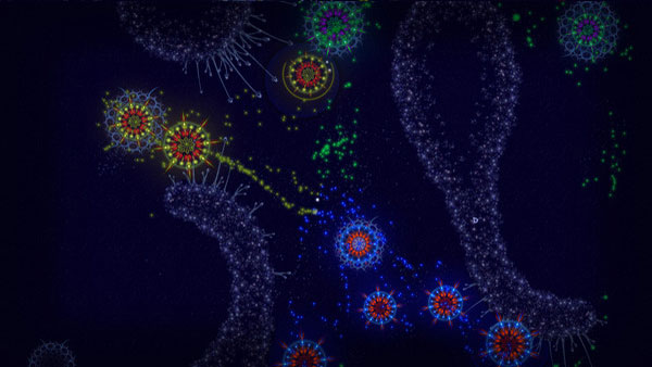 Microcosmum中文版